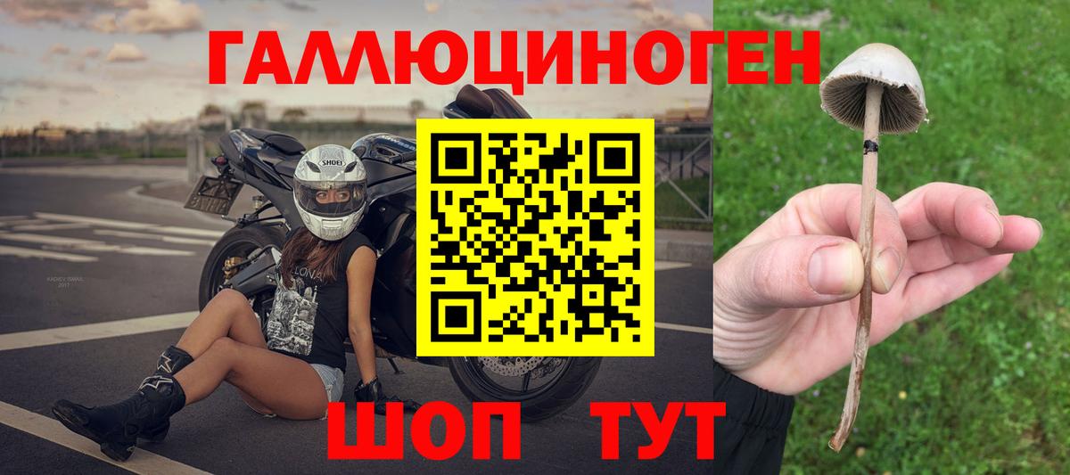Нягань  Галлюциногенные грибы Cubensis  Вход с VPN 